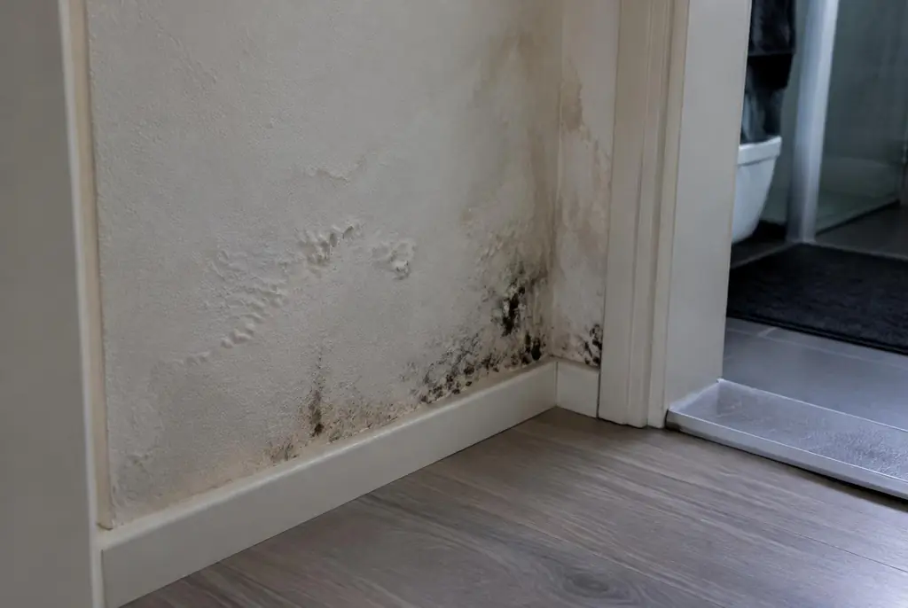 Lekdetectie Hattem – vochtplek met schimmel op een muur